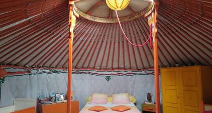 Mongolian yurt, on the edge of a forest and a hiking trail