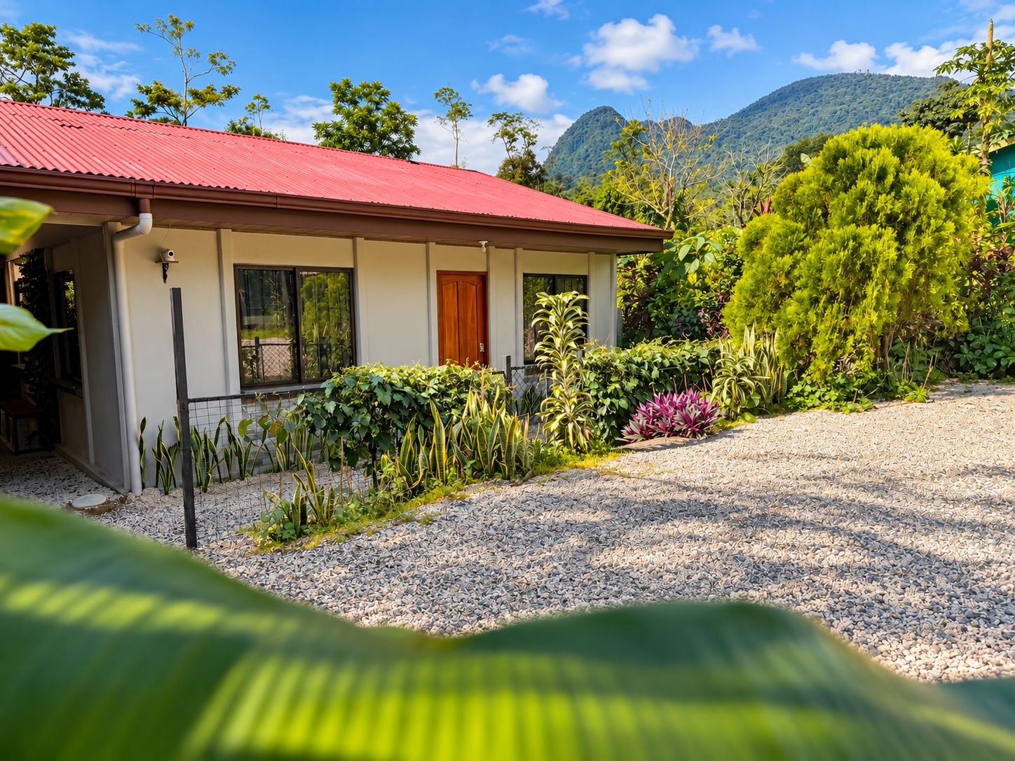 A house with a red roof, surrounded by a gravel driveway and various plants.