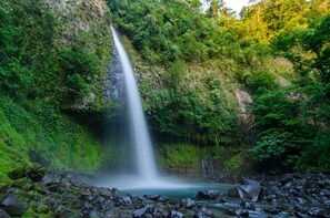 Ein Wasserfall, umgeben von üppiger Vegetation.