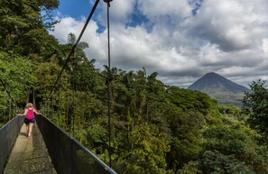 Eine Person geht auf einer Hängebrücke, umgeben von dichtem Wald und einem Berg im Hintergrund.
