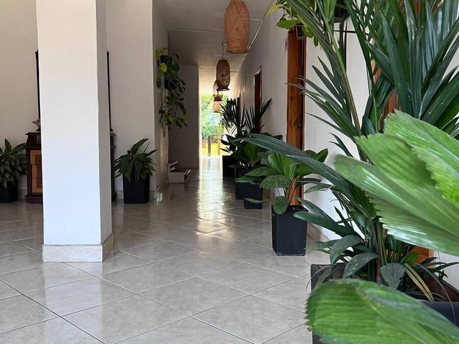 Un pasillo amplio con suelo de baldosas, plantas en macetas grandes y una puerta de madera al final.
