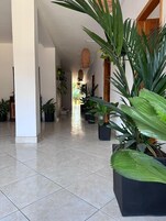 32-英寸智能电视 （配备有线频道）、电视