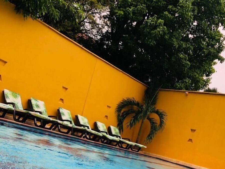 A swimming pool with lounge chairs and a palm tree.