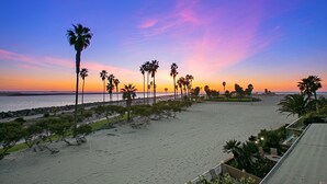 A beach with palm trees and a sunset.