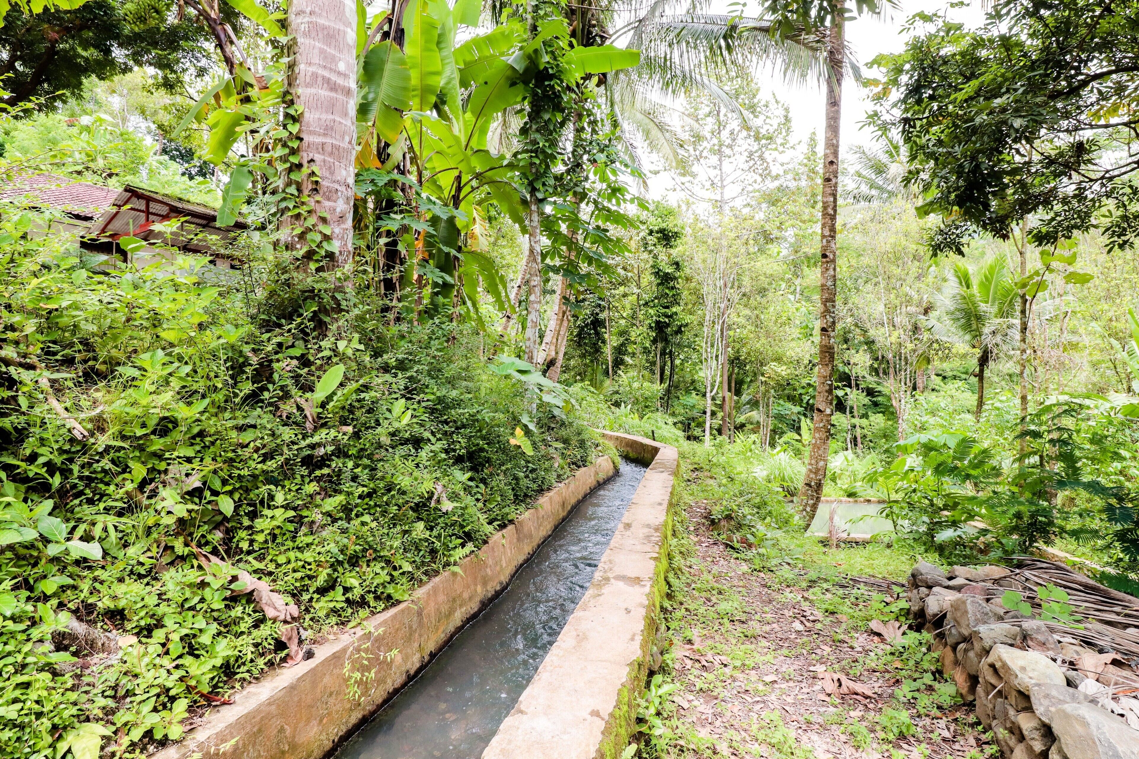 Khuôn viên nơi lưu trú