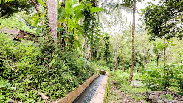 A narrow concrete water channel surrounded by dense tropical vegetation and a small building with a red roof. - Narendra Homestay by Zuzu (Sleman)