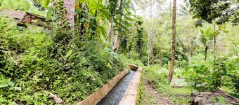 Narendra Homestay by Zuzu