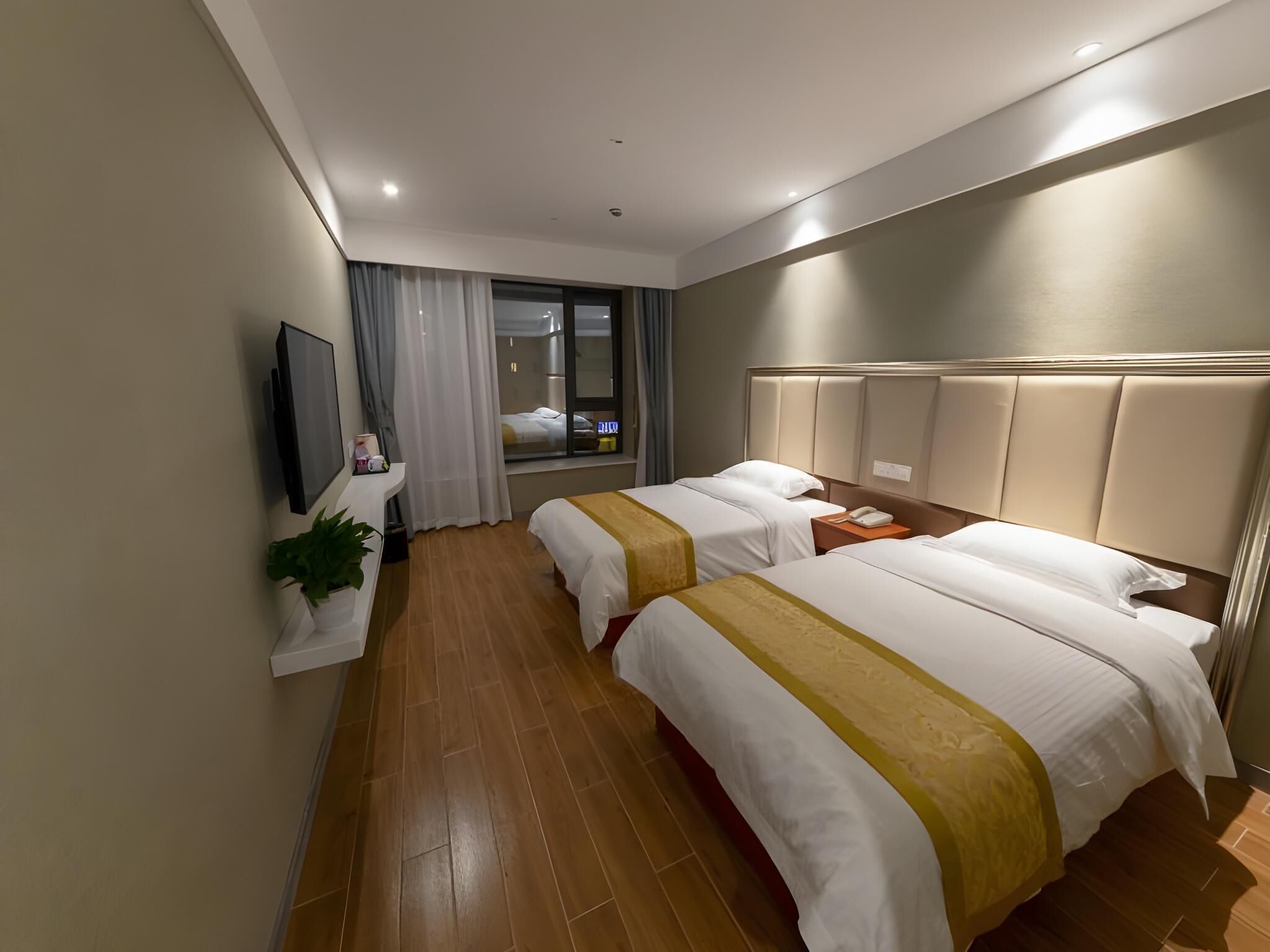 Une chambre d’hôtel avec deux lits, une télévision, une fenêtre avec des rideaux et une plante.