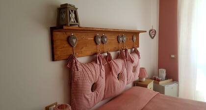 The Sea Of Rome Standard "Pink"