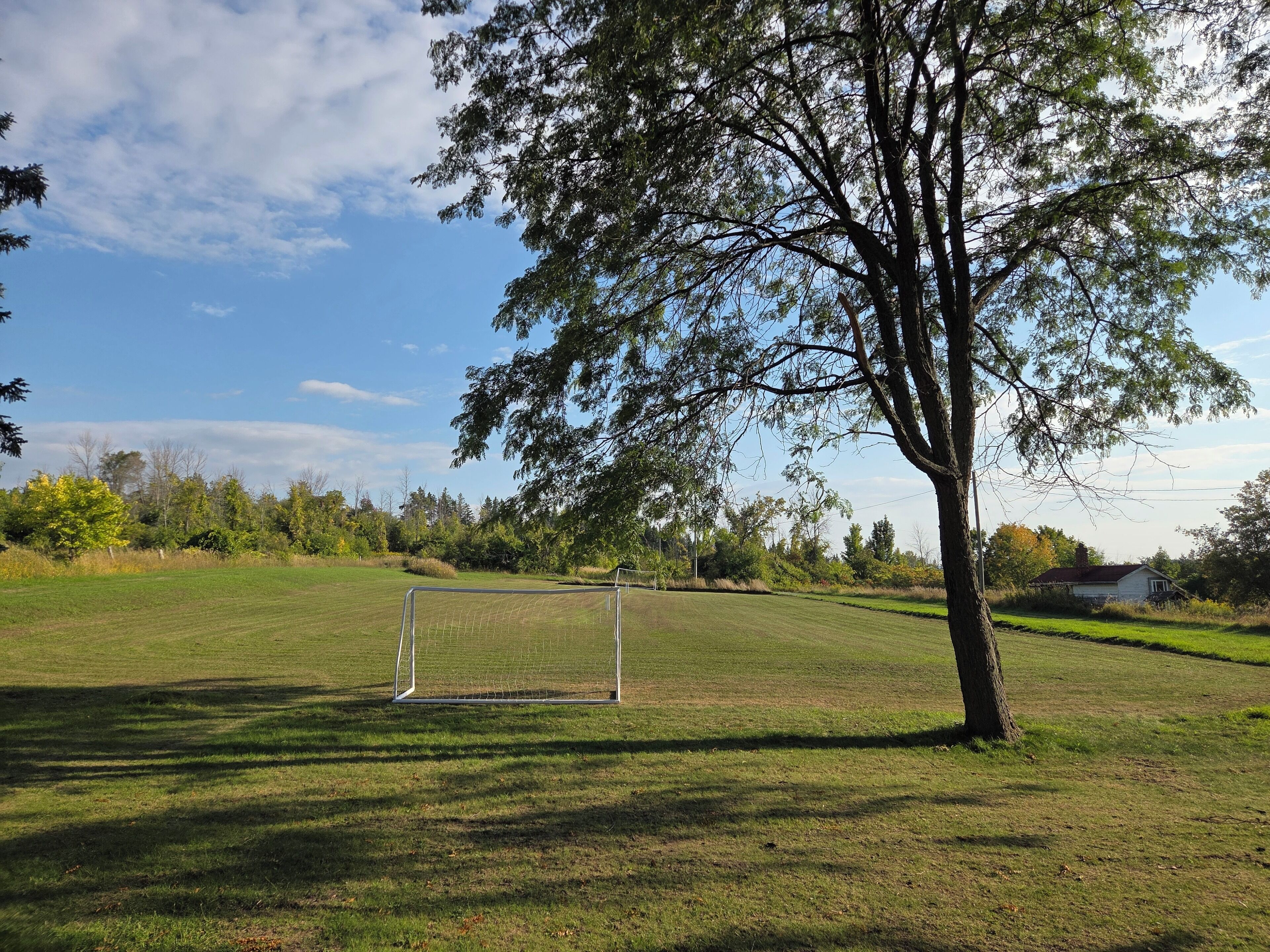 Ein grasbewachsenes Feld mit einem Fußballtor, Bäumen und einem Haus im Hintergrund.