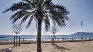 A palm tree in a concrete planter by a coastal road with a clear view of the sea and distant mountains. - Appartement Front de mer (Cannes)