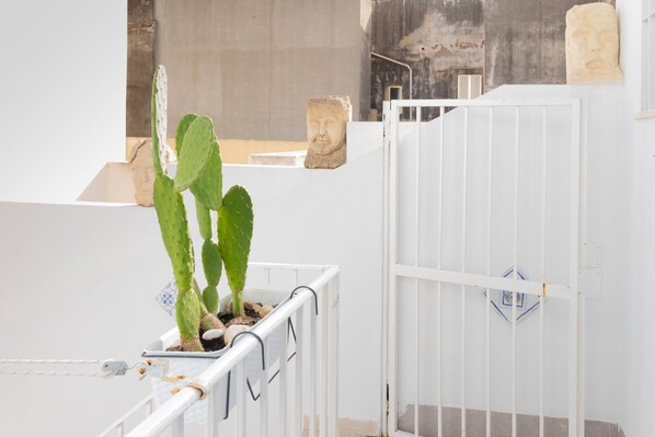 A cactus plant in a white metal pot on a balcony railing.