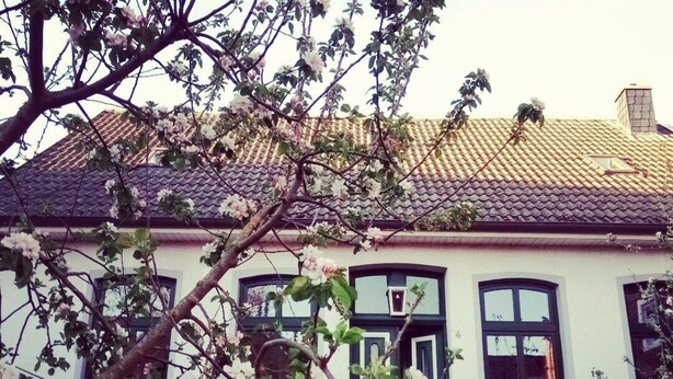 Ein traditionelles Haus mit Ziegeldach, einem Hauseingang in der Mitte und einem Fenster mit Rollläden.