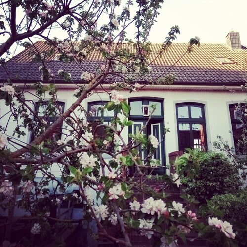 Ferienhaus für Familien/Gruppen/Freunde
Hunde erlaubt
8 Erwachsene 2 Kinder