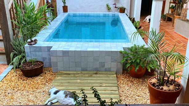 Una pequeña piscina con terraza de madera, rodeada de plantas en macetas y una escalera.