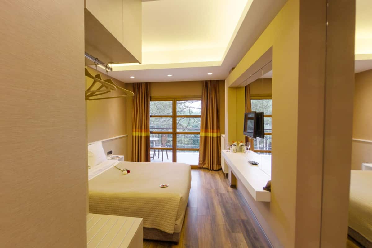 Minibar, free WiFi, bed sheets