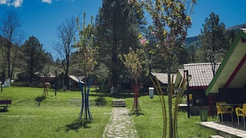 Vue sur le jardin