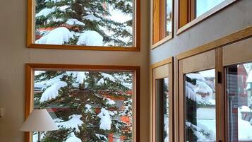 Smart-TV, Kamin, DVD-Player, Videothek