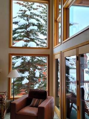 Smart TV, fireplace, DVD player, video library