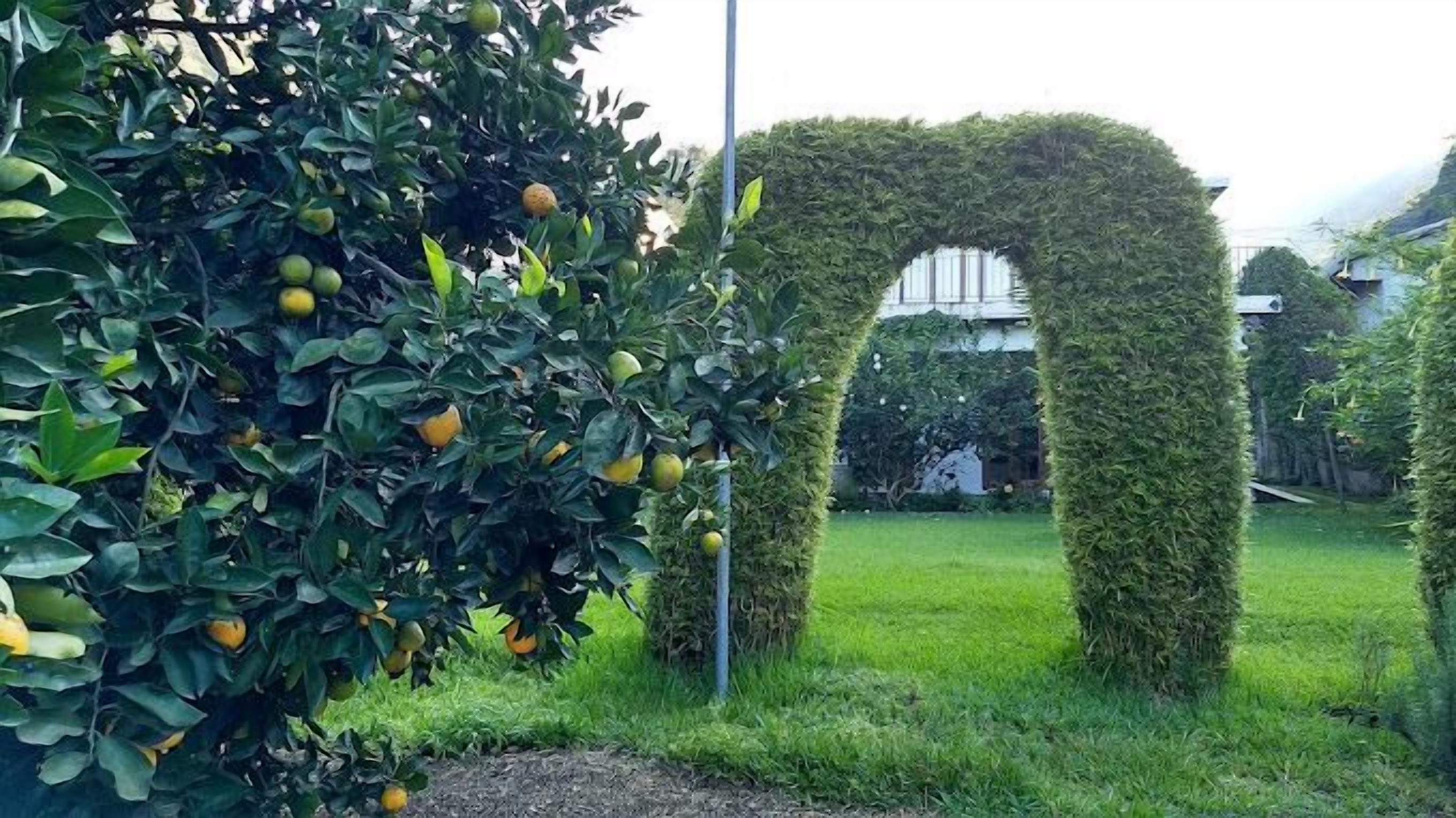 Photo - Hostal Casa Búho