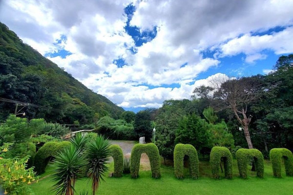 Blick auf den Garten