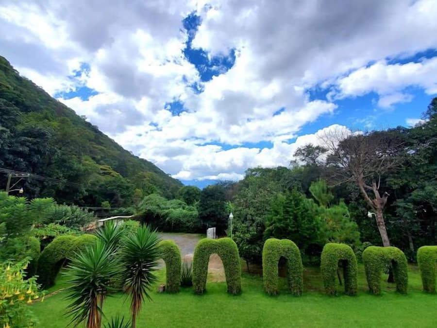 Vista al jardín
