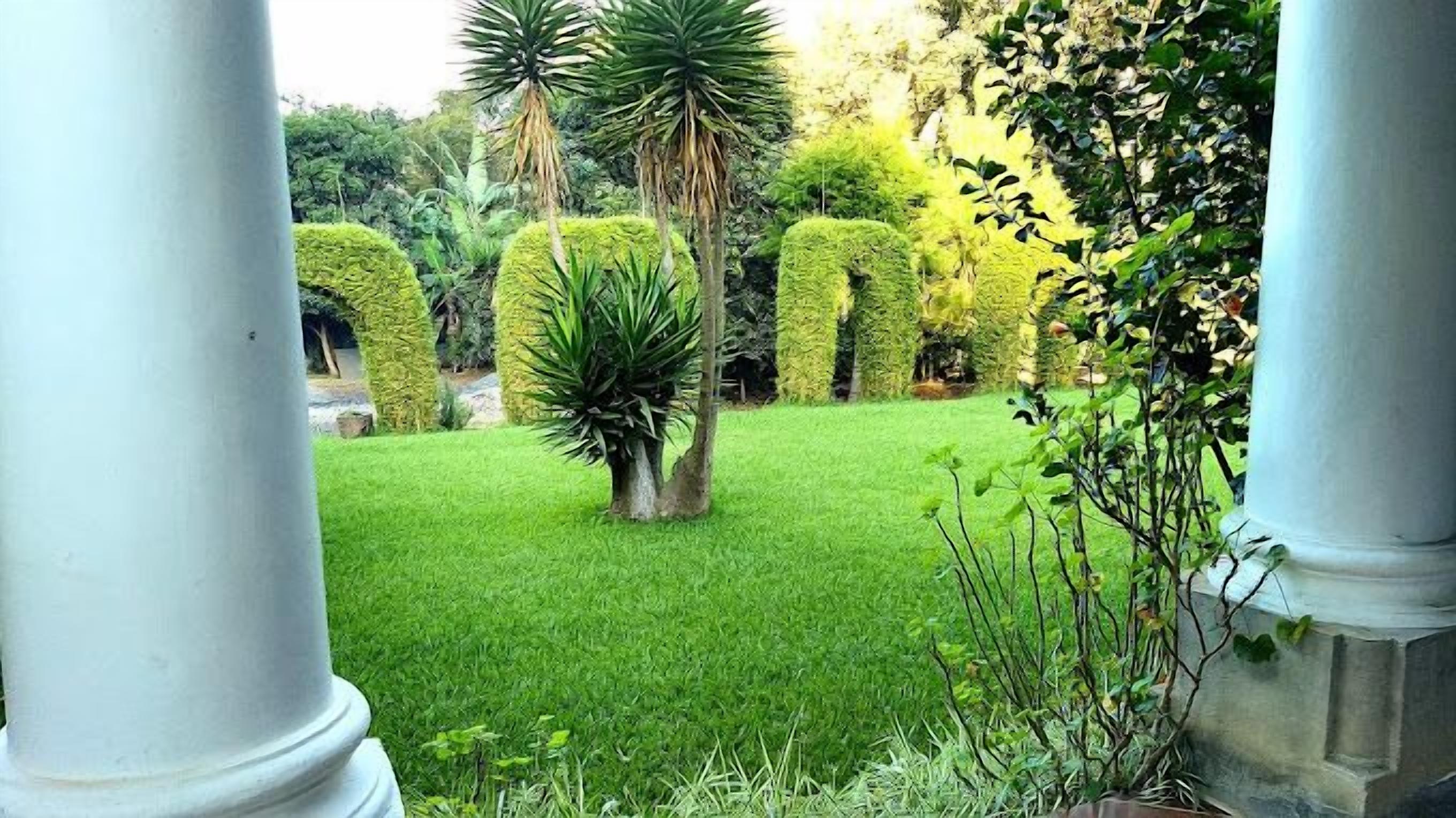 Photo - Hostal Casa Búho