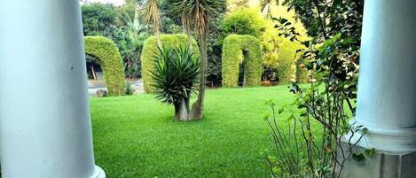 A well-maintained garden with neatly trimmed hedges, a variety of plants, and a clear view through the columns.