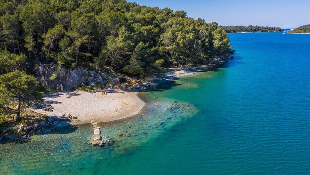 A coastal landscape with a sandy beach, clear turquoise waters, and dense green forest. - Summer Apartment Banjole - 100 m from the Beach (Banjole)