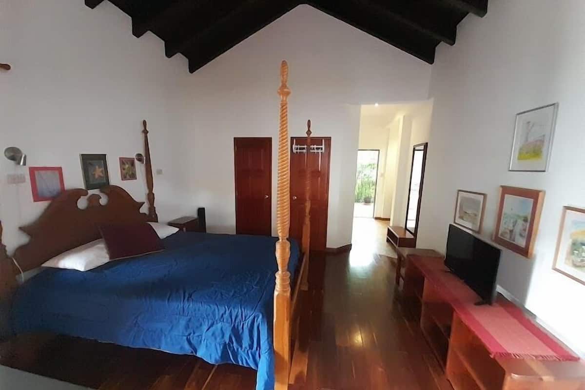 A bedroom with a bed, wooden headboard, a wooden chair, a television, and a door leading to another room.