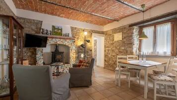 TV, fireplace, books