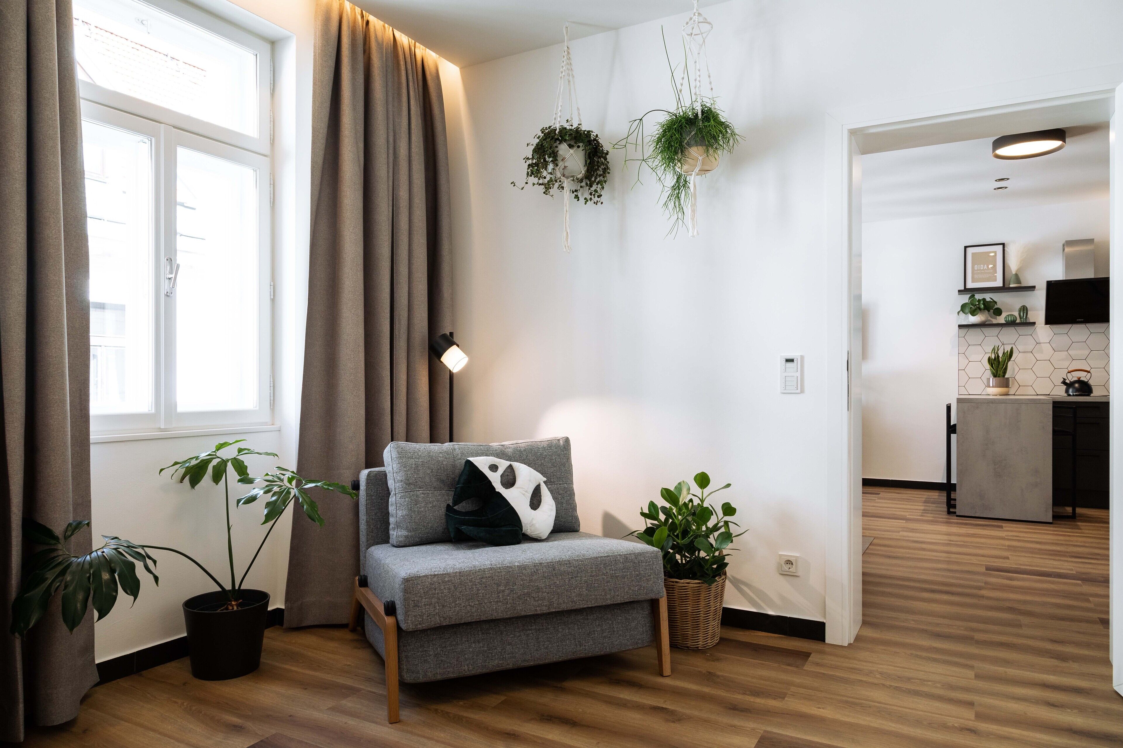 A modern living room with a grey sofa, a black lamp, and potted plants.