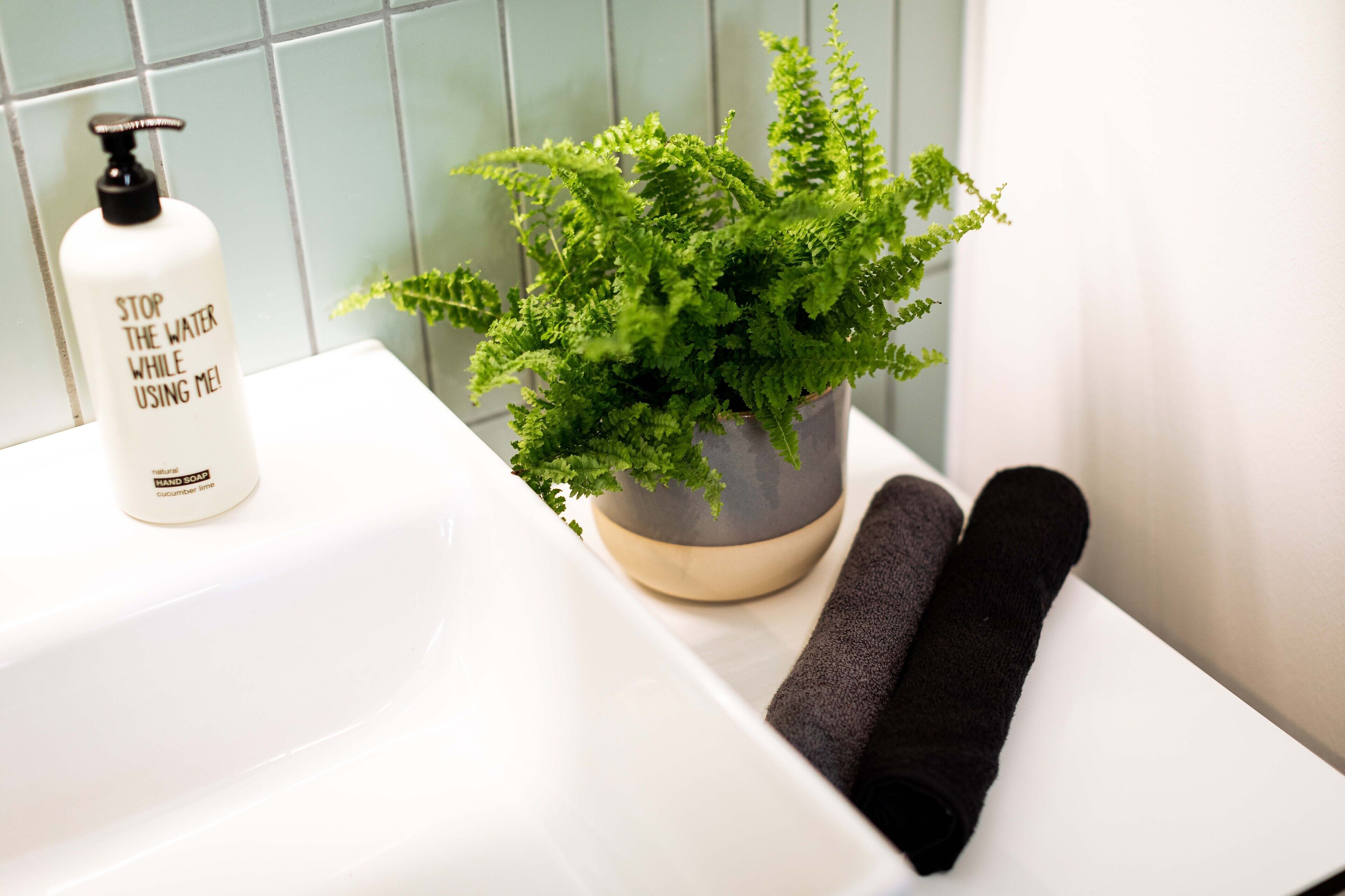 Foto - Urban Jungle Apartments