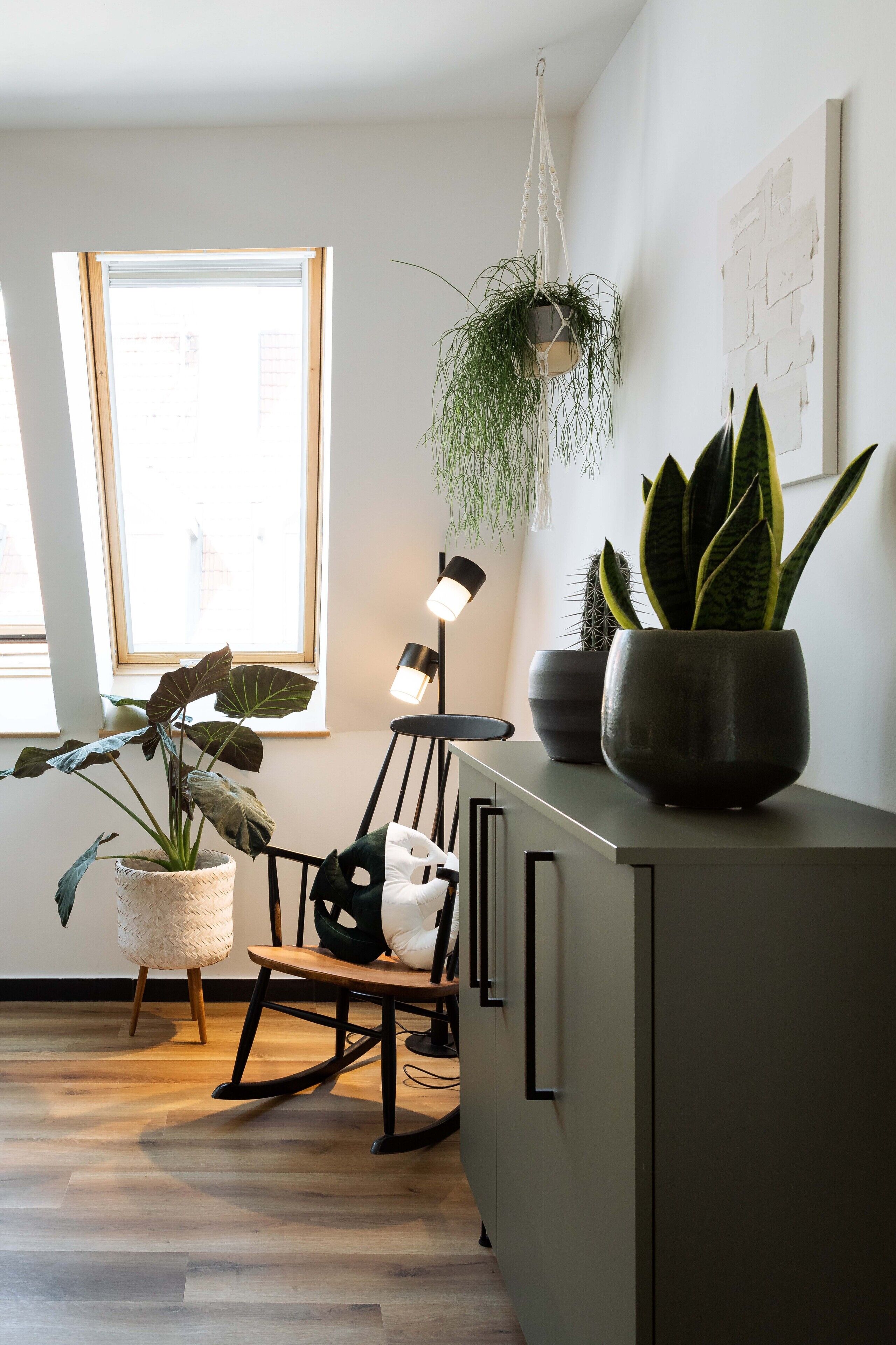 Foto - Urban Jungle Apartments