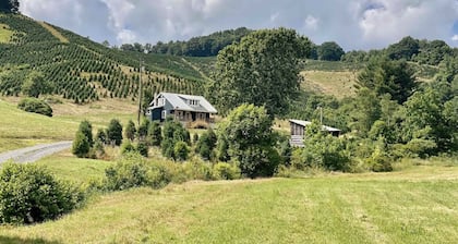 Creekside Retreat on 80 Acres- Hike, Fish & Relax