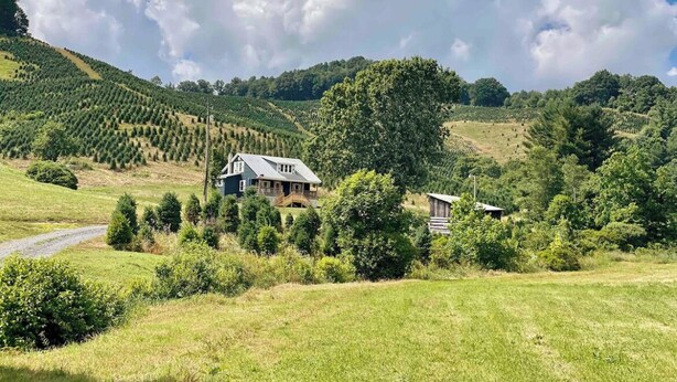 A rural landscape with a house surrounded by trees and fields.
