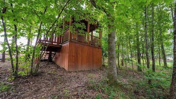 A wooden cabin with a balcony, surrounded by trees and a forest floor.