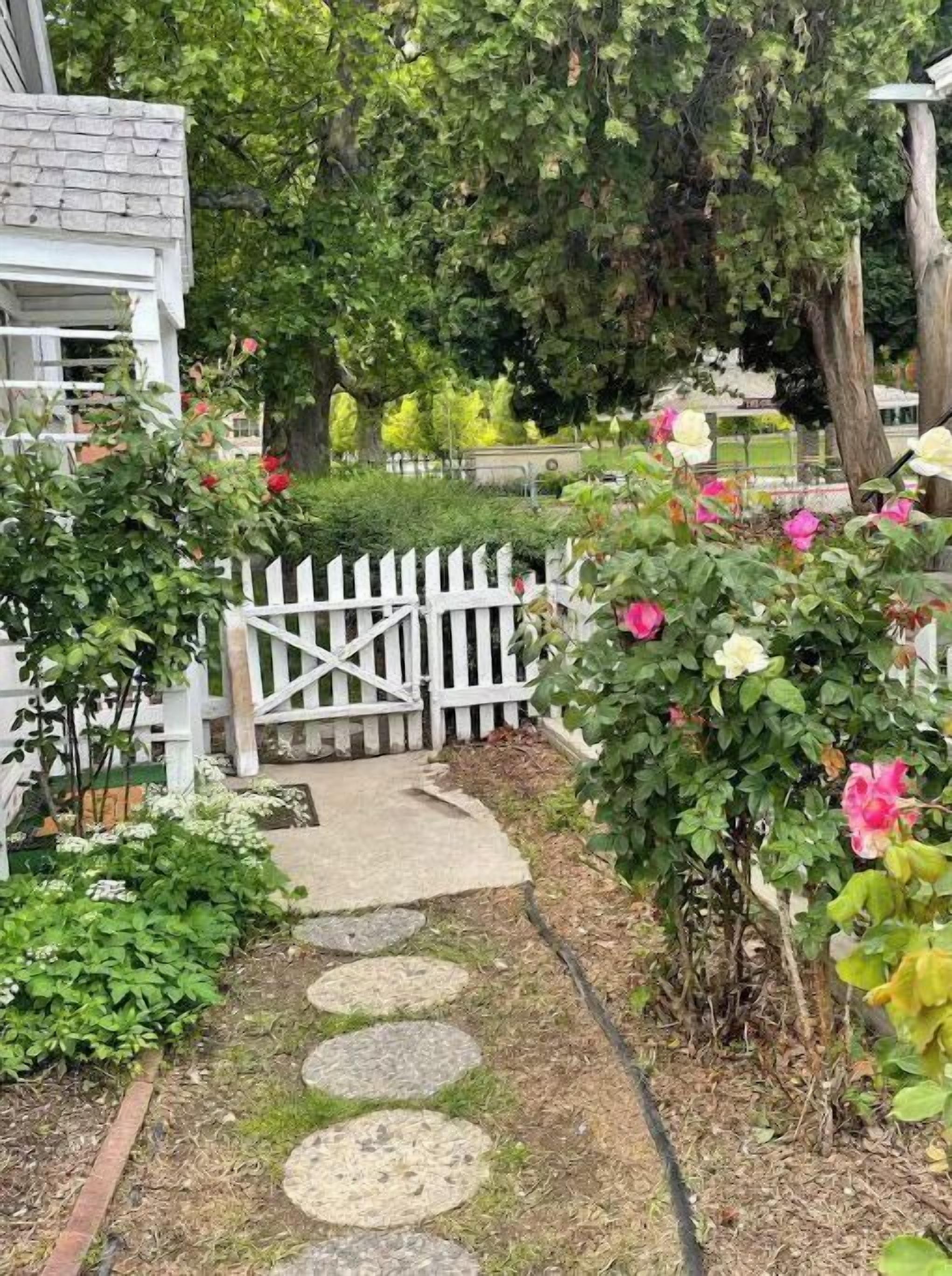 Terrein van de accommodatie