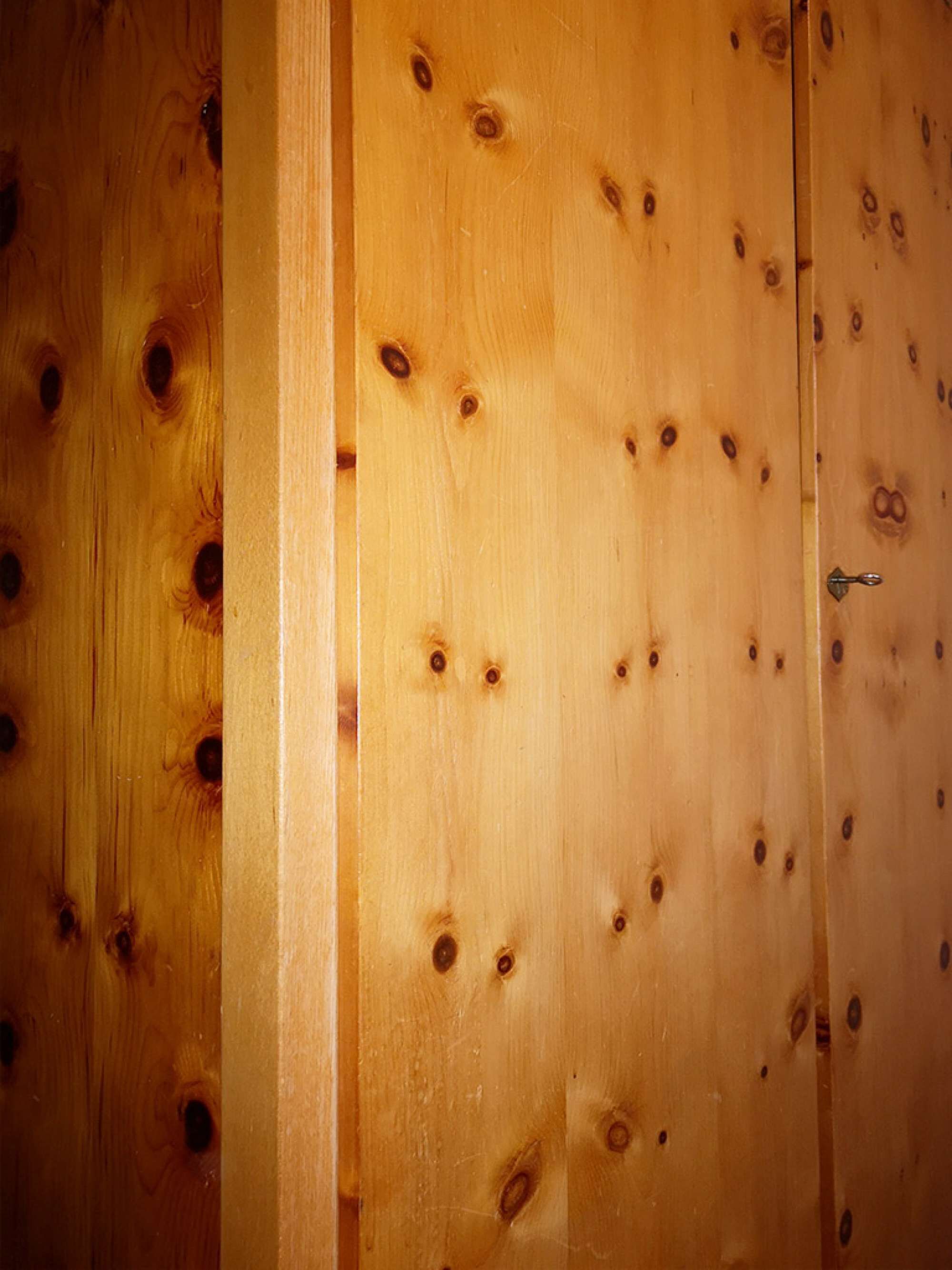 L'armoire, également unique en bois massif