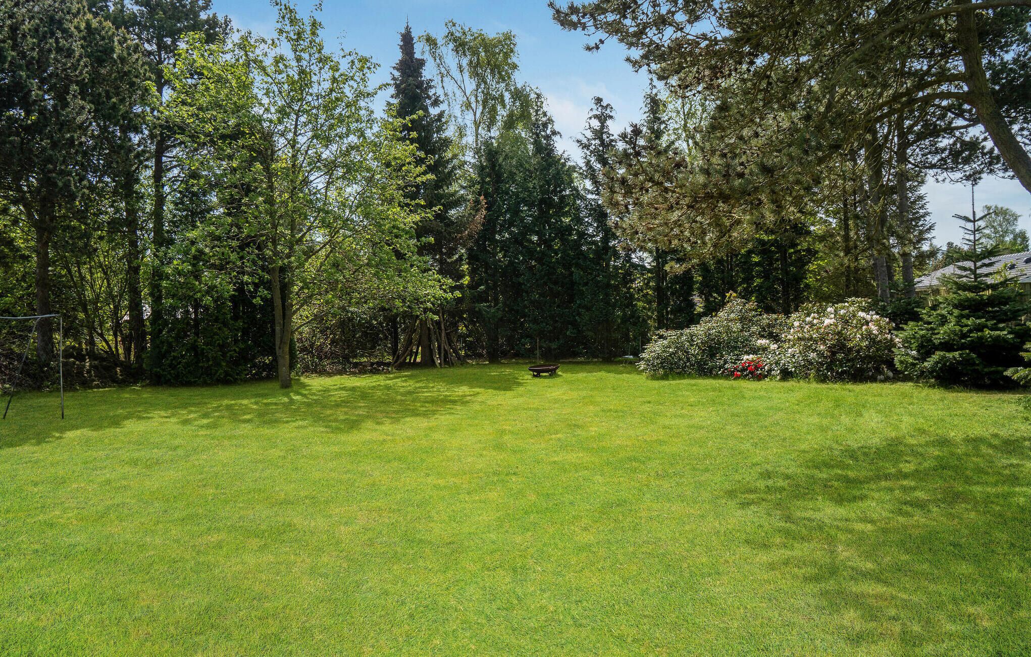 A grassy outdoor area with trees and a bench.