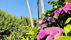 Um jardim com palmeiras altas e flores cor-de-rosa.