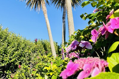 Wavecrest Holiday Cottage