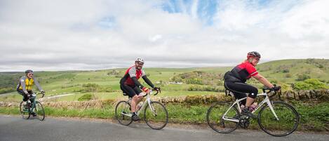Drei Radfahrer auf einer Straße mit ländlicher Landschaft im Hintergrund.