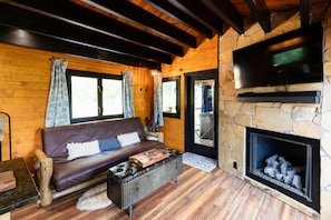 Televisión, chimenea y libros