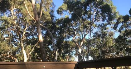 Manna Gums Tiny - Riddells Creek; Relax and Unwind