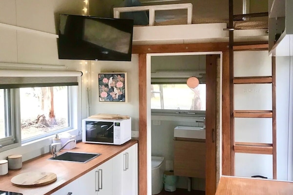 Fridge, microwave, stovetop, electric kettle