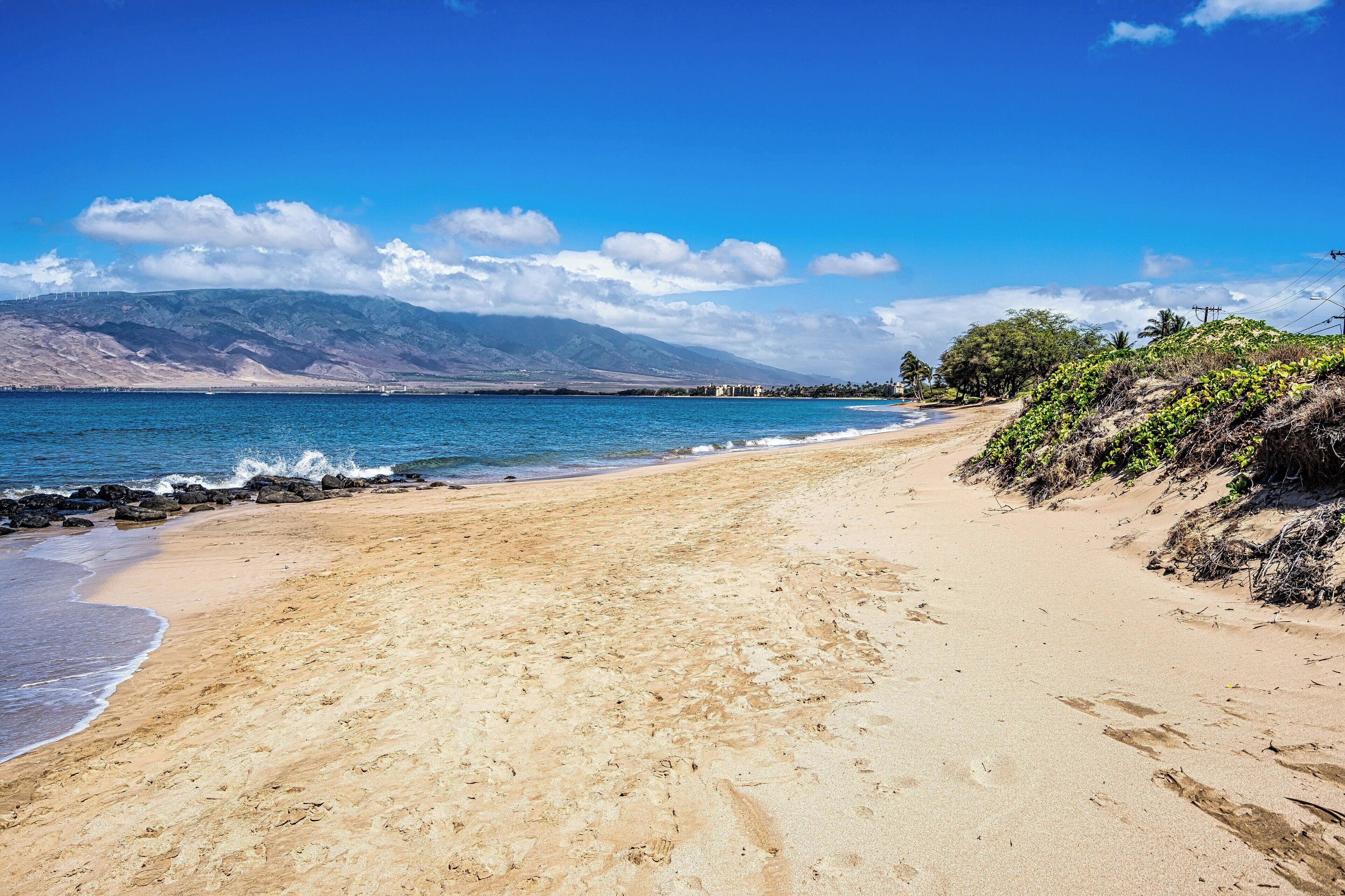 Playa en los alrededores y toallas de playa 
