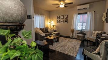 Smart TV, fireplace, books