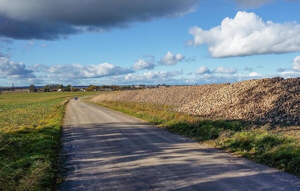 Eine Landstraße mit einer Steinmauer an einer Seite und Feldern auf der anderen.