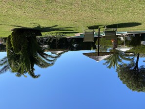 Property grounds - Villa Polytimi (Skiathos)